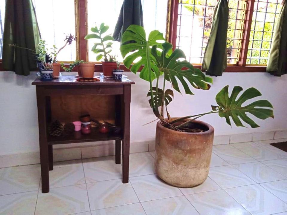 Casa Natura San Cristóbal de Las Casas Dış mekan fotoğraf